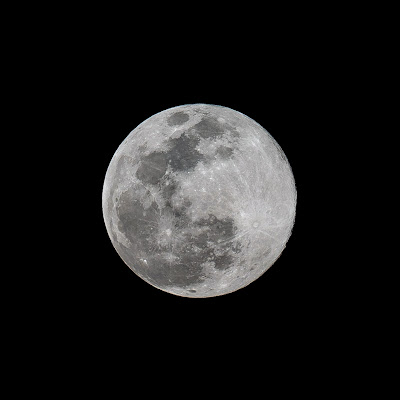 Full Moon Over Florida – 4-7-2020